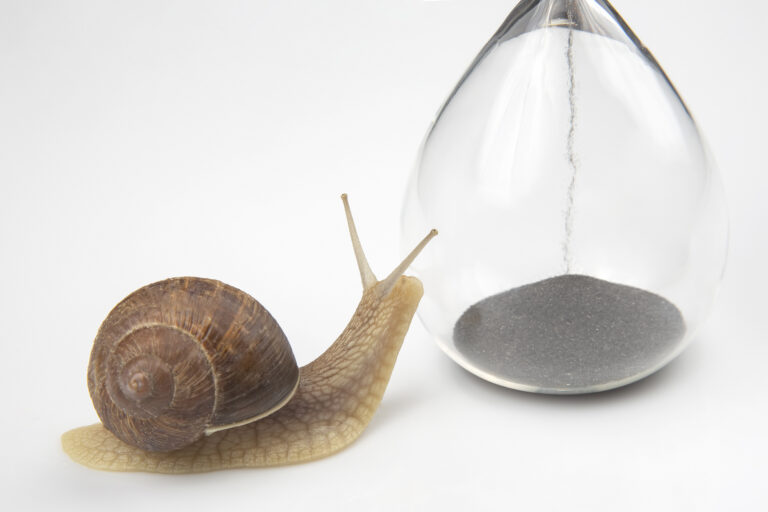 Slow life – żyj dobrze, świadomie i we własnym tempie