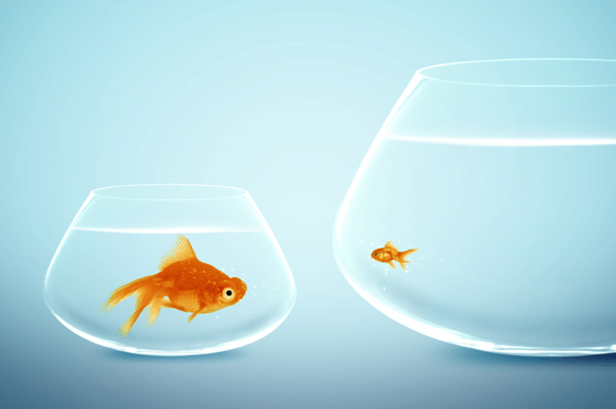 Obudź w sobie olbrzyma