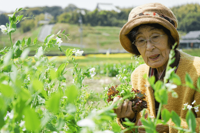 Długowieczność - Niebieskie STrefy