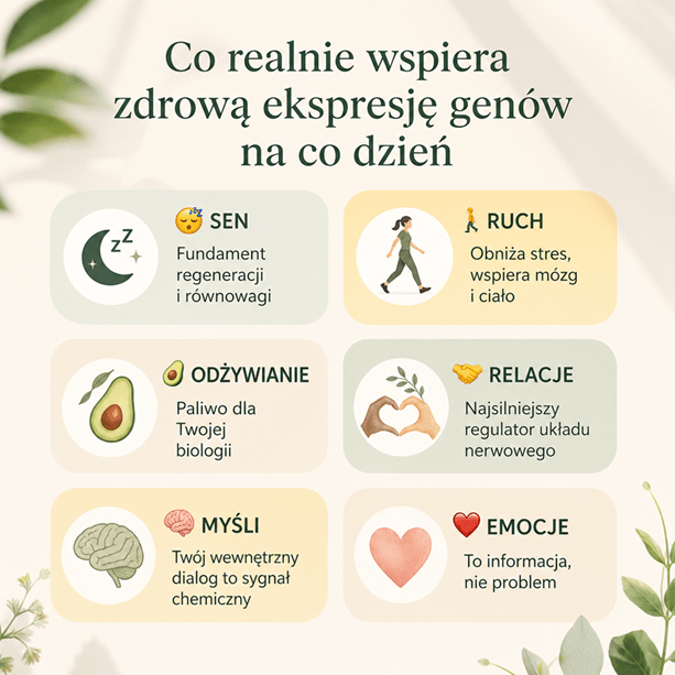 Co wpływa na ekspresję genów? 6 czynników